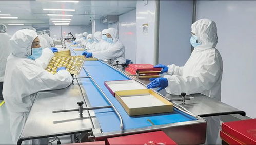一句玩笑話，撬動瑞士蓮上海生產線 亞太首條食品產線落戶申城背后的故事