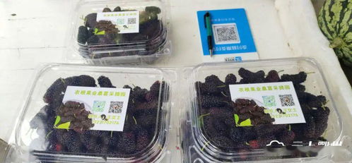 鄂城區(qū)食用農(nóng)產(chǎn)品進(jìn)入“帶證上市”時(shí)代，批發(fā)市場安全監(jiān)管再升級