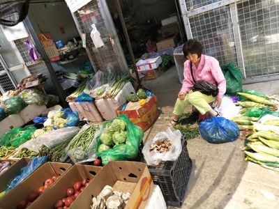 暑期社會實(shí)踐 | “融寧鄉(xiāng)音小分隊(duì)”尋訪農(nóng)產(chǎn)品批發(fā)中心，探索旅順口區(qū)新發(fā)展